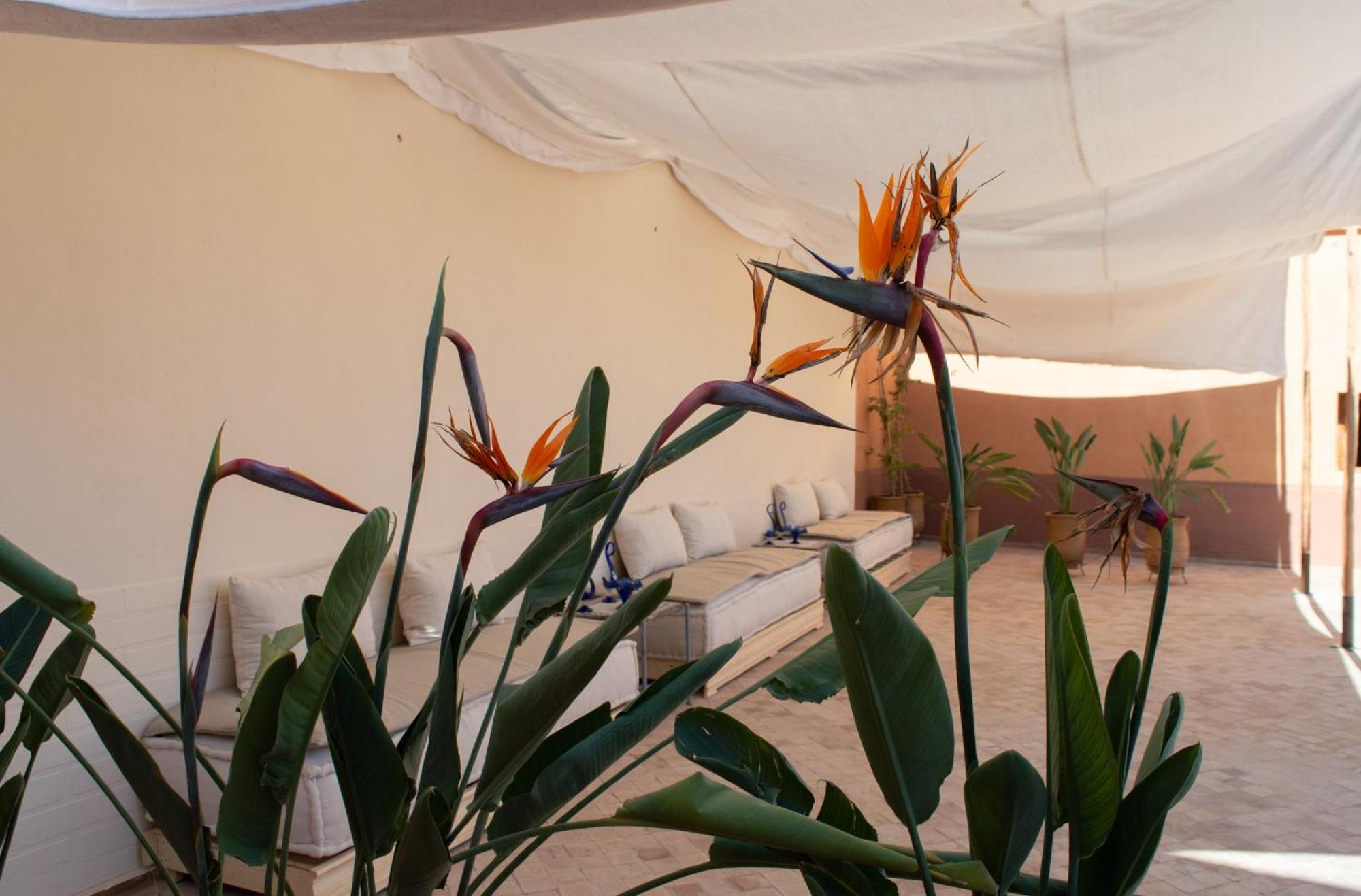 Ferme D'Hote Zomorroda Marrakesh Luaran gambar