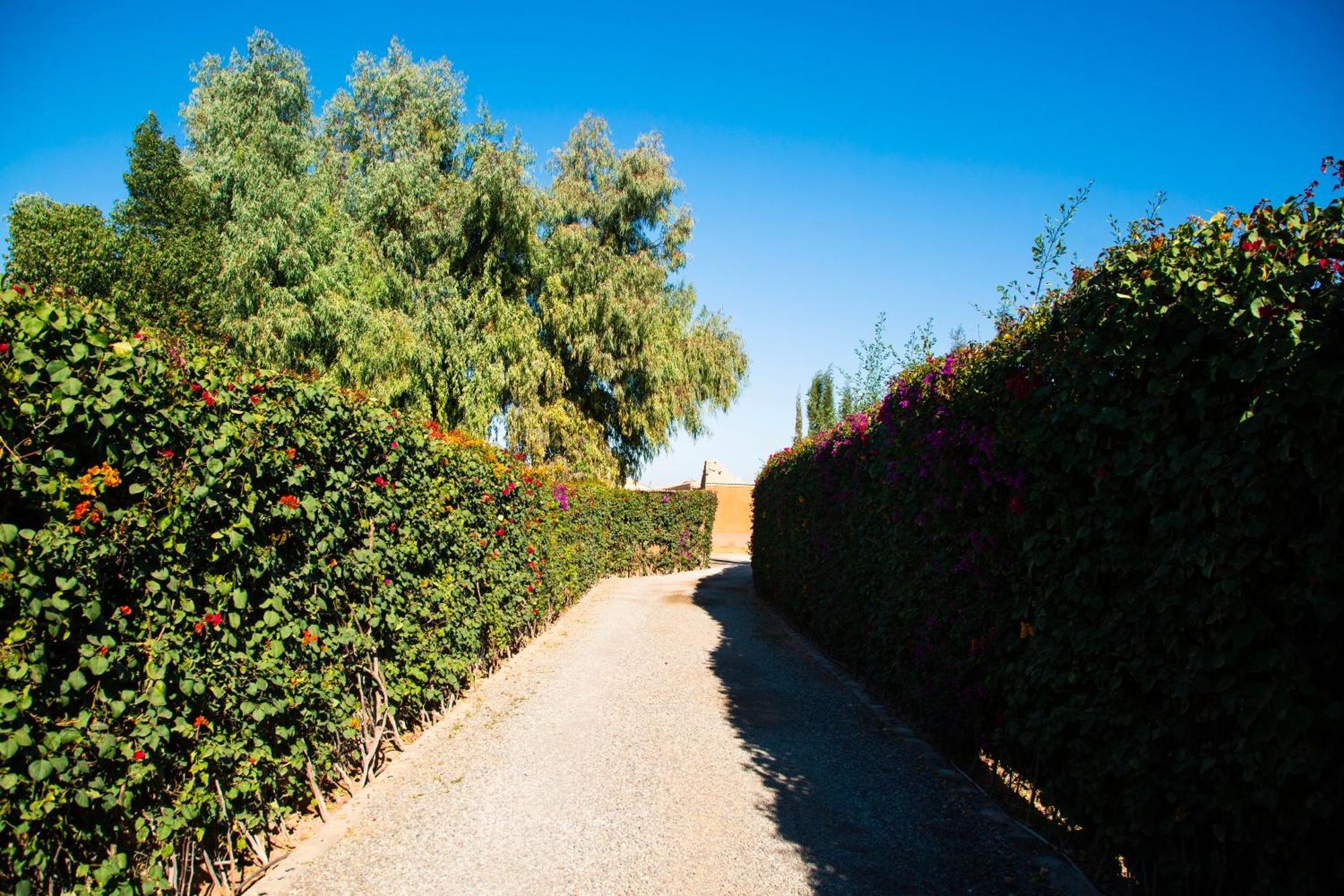 Ferme D'Hote Zomorroda Marrakesh Luaran gambar
